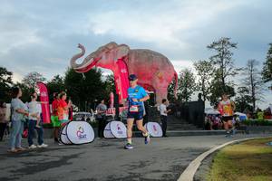 BIB: 
                            <button type="button" onclick="openModal(26529369)" class="btn btn-primary btn-sm float-right btn-popup" data-toggle="modal" data-target=".modal-high-quality">
                        <i class="fas fa-shopping-cart"></i> Add to Cart
                    </button>
                                            <button type="button" onclick="isThisMe(26529369, true)" class="btn btn-success btn-sm float-right btn-popup btn-isme hidden" data-toggle="tooltip" data-placement="bottom" title="นี่คือรูปของคุณใช่ไหม คลิกที่นี่เพื่อเอาเข้าอัลบั้ม">
                        <i class="fas fa-plus"></i> Add to album
                    </button>
                    <button type="button" onclick="isThisMe(26529369, false)" class="btn btn-warning btn-sm float-right btn-popup btn-isnotme hidden">
                        <i class="fas fa-ban"></i> Remove from album
                    </button>